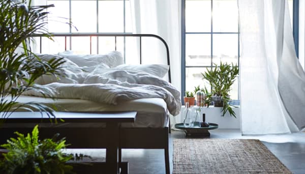 An unmade bed in a bedroom with the windows open, a rug on the floor and lots of green plants