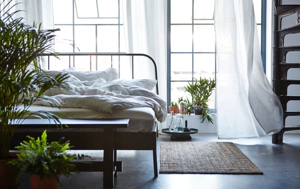 An unmade bed in a bedroom with the windows open, a rug on the floor and lots of green plants.