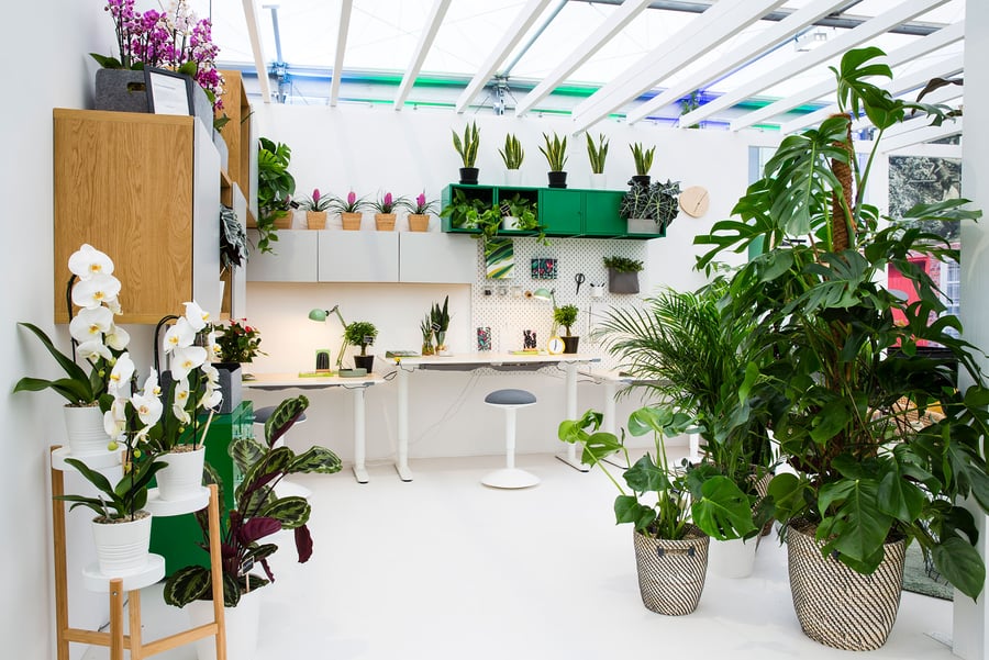 Decorate your office with plants - IKEA