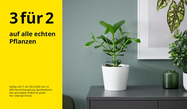 Angebot 3 für 2 auf alle Pflanzen