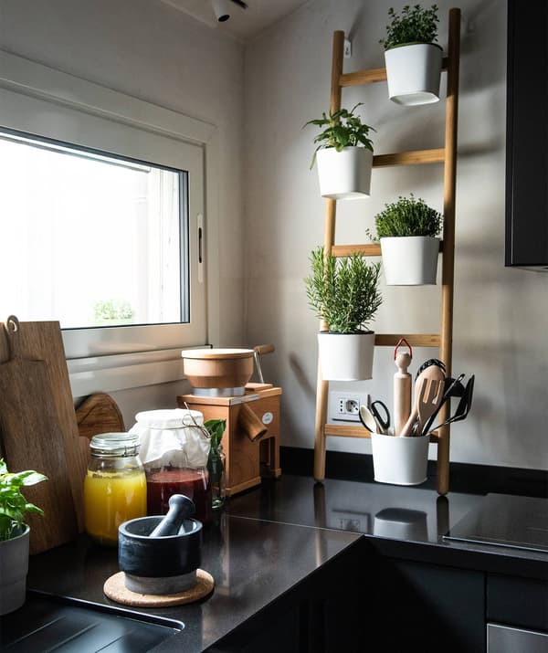 Angolo della cucina illuminato da una finestra. Sul piano, ci sono un estrattore, un mortaio, un tagliere, barattoli e altri utensili. Sulla parete, un supporto da parete SATSUMAS con piante.