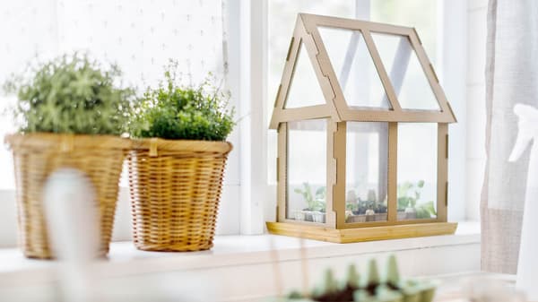 Anzuchthaus aus Karton selbst gebastelt steht auf einem Fensterbrett