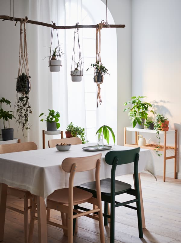 Apartment interior with table and chairs, a side table by a wall. Green plants on all surfaces and some hung above the table.
