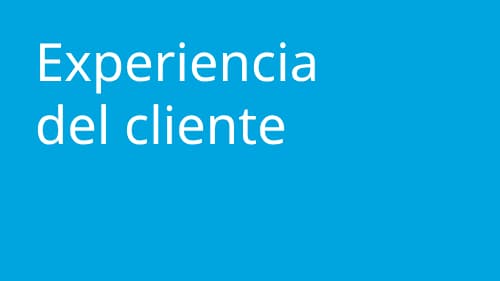 áreas de experiencias