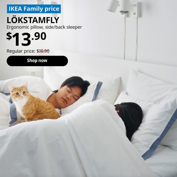 Asian woman and man sleeping on bed together, with pet cat on the duvet. LÖKSTAMFLY ergonomic pillow, side/back sleeper, $13.90. Regular price: $19.90. Shop now.