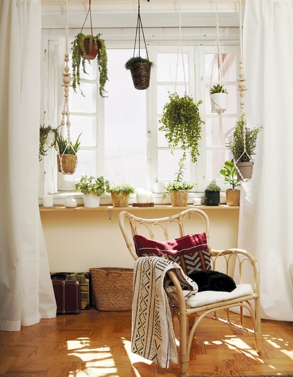 Asseyez-vous et profitez des bienfaits des plantes d’intérieur