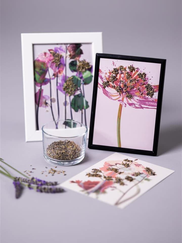 Auf einem Tisch liegen Bilder von Blumen.