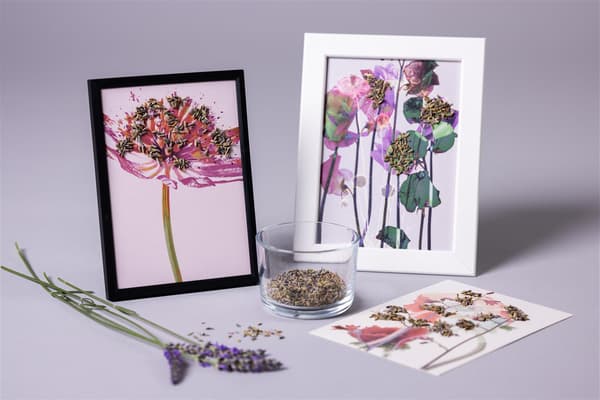 Auf einem Tisch liegt ein Ast von Lavendel und dahinter stehen 2 Bilderrahmen mit Blumen darin.