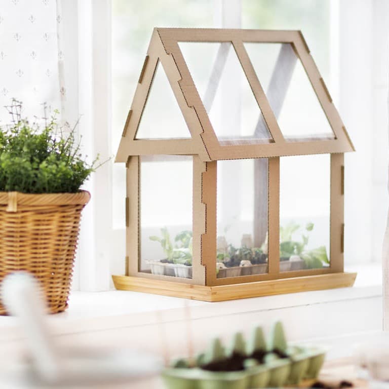 Auf einem Tisch steht ein Mini-Gewächshaus aus Pappe mit einer Pflanze darin.