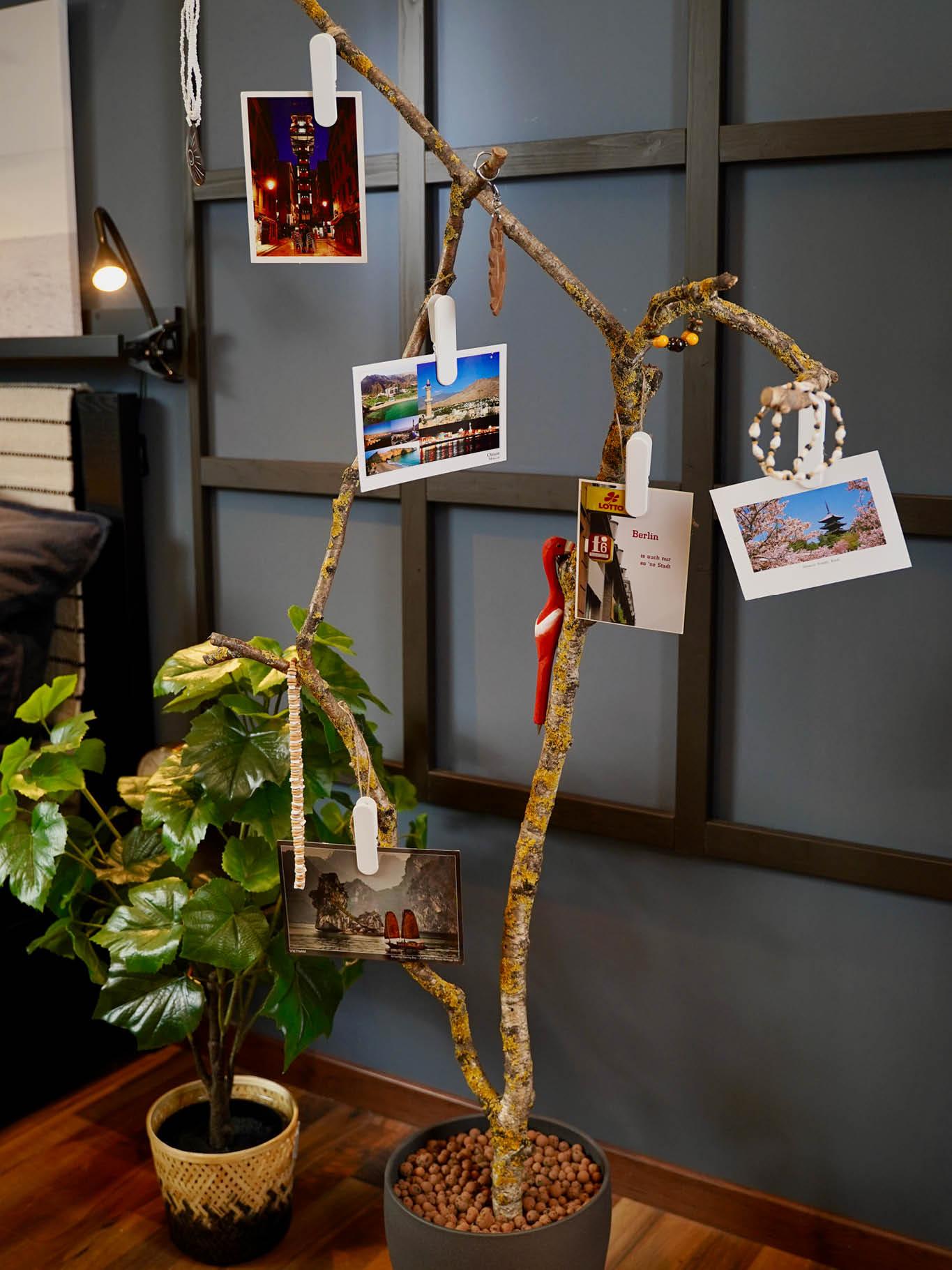 Auf einer Holzkommode steht eine Pflanze und eine Pflanze mit Bildern darauf.