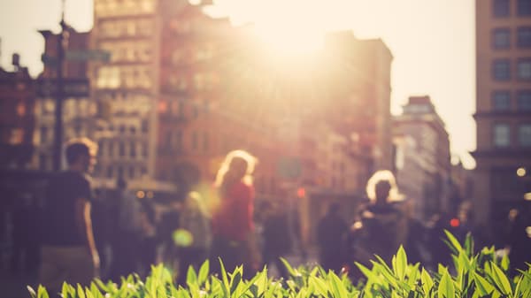 Aurinko laskee rakennuksen taakse kadulla, joka on täynnä jalankulkijoita. Auringonvalo kultaa etualalla olevan pensaan lehdet.