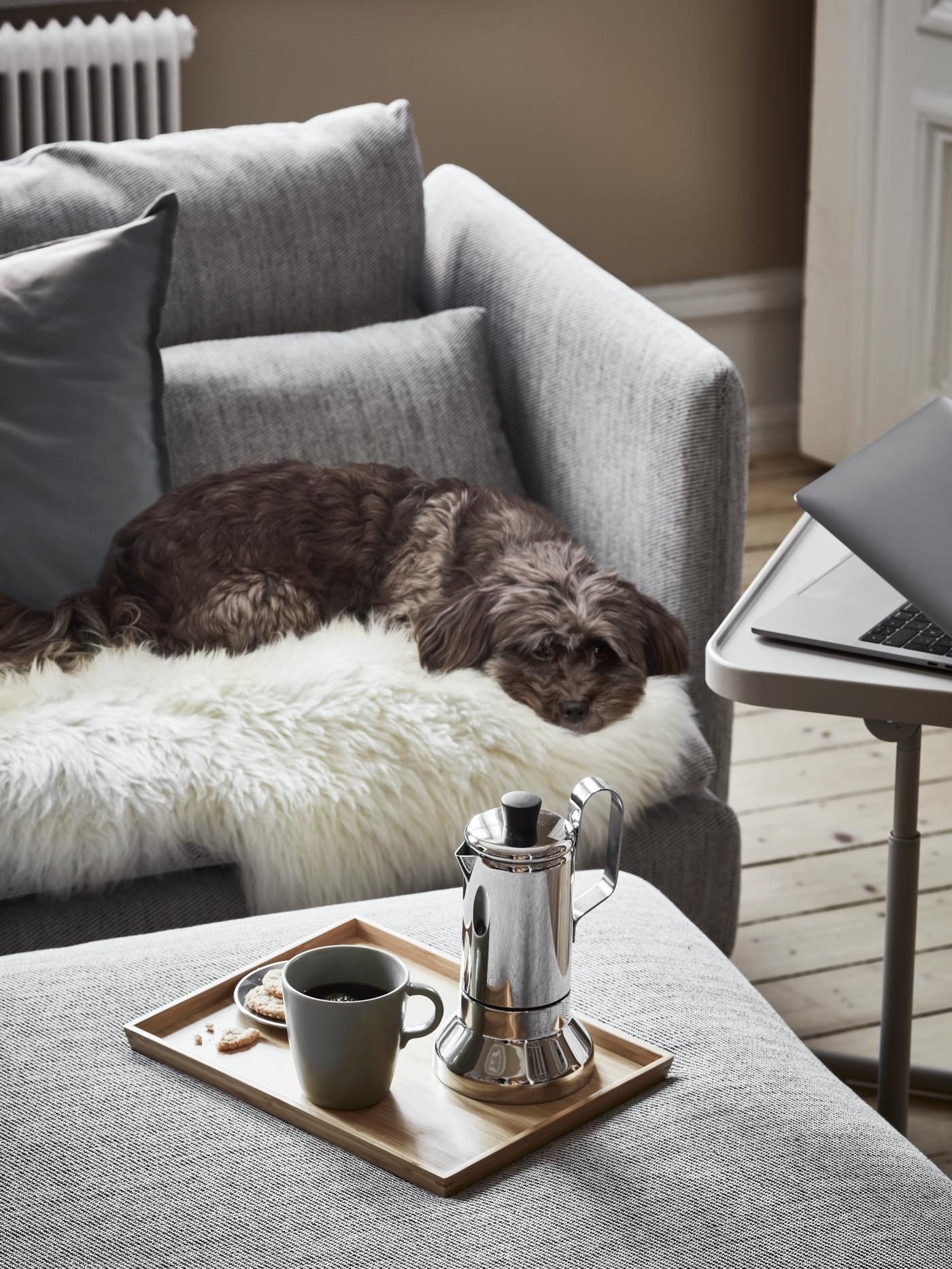 See all extra SÖDERHAMN covers