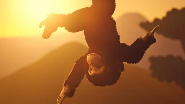 Baby monkey hanging upside down from a tree at sunset in an African savanna