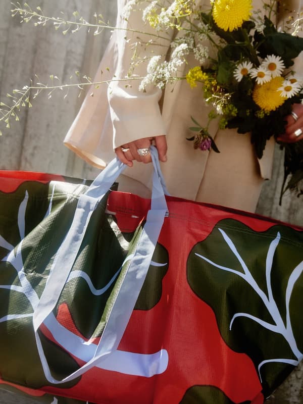 BASTUA FRAKTA bag