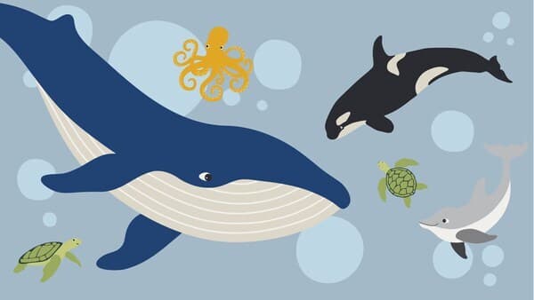 イケアストア店舗情報 Ikea 公式 Ikea