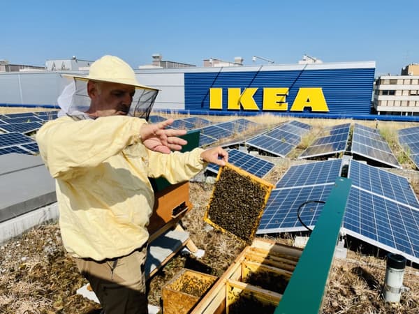 Beekeeper with bees on the IKEA roof.