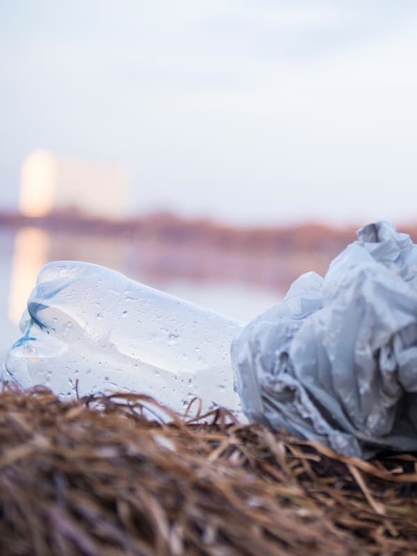 Beg plastik dibuang dan botol PET diletakkan pada sekumpulan rumpai laut lembap dan layu di dalam air dengan cahaya pagi yang pucat.