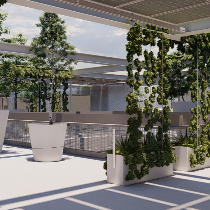 Begrünte Pergola auf einer Dachterrasse mit hängenden Pflanzen und großen weißen Pflanztrögen.