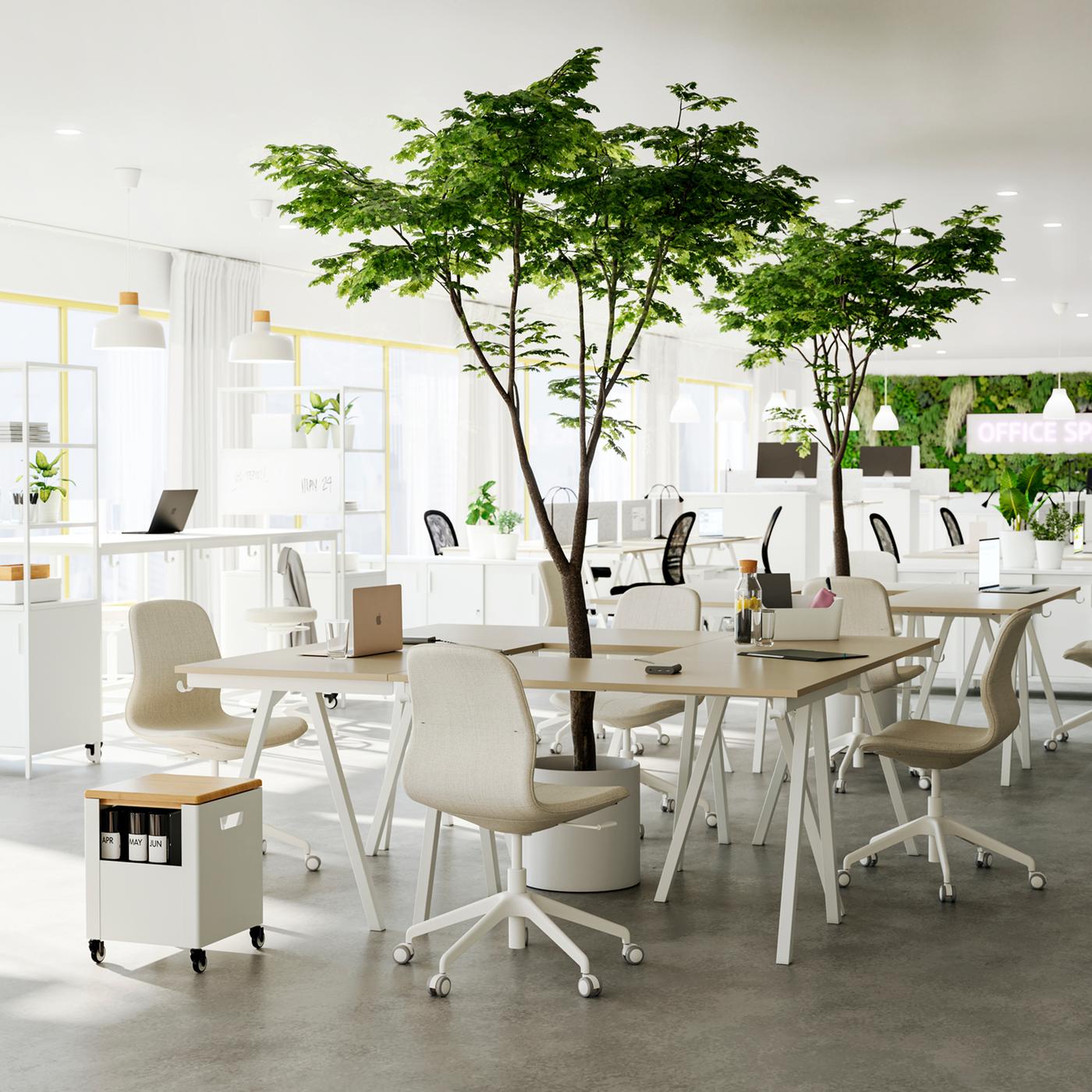 Beige-and-white TROTTEN desks placed together forming a collaboration area, surrounded by LÅNGFJÄLL office chairs.