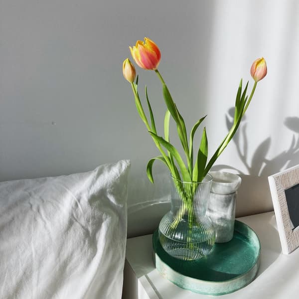 Bild på en tulpanvas från:@myhome_myproject. 17 January 2026