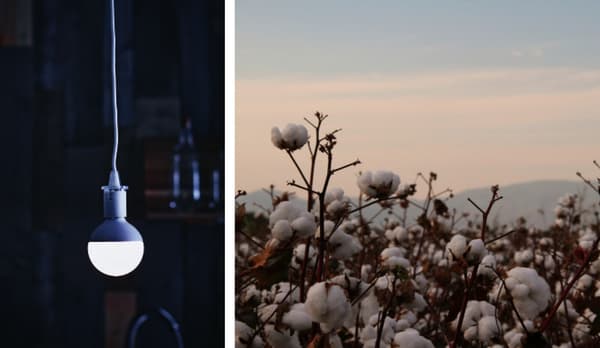 Bilde av led lyspære og bomull.