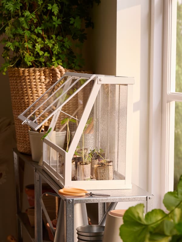 Bílý skleník ÅKERBÄR na polici HYLLIS.