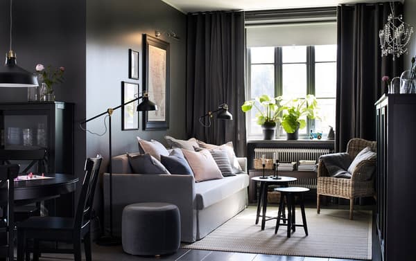 Black living room with sofa bed
