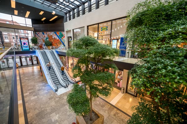 Blick auf das Innere des Einkaufszentrums, in dem sich das neue IKEA Planungsstudio befindet. Zu sehen sind Rolltreppen und große Flächen für die Kund:innen. Im Vordergrund sind Bäume und im Hintergrund das IKEA Planungsstudio Rheine zu sehen.