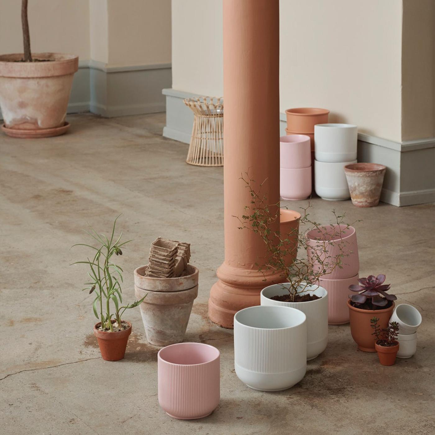 Bloempotten in zachte kleuren met kleine planten rond een zuil in een lichte ruimte met houten vloer.