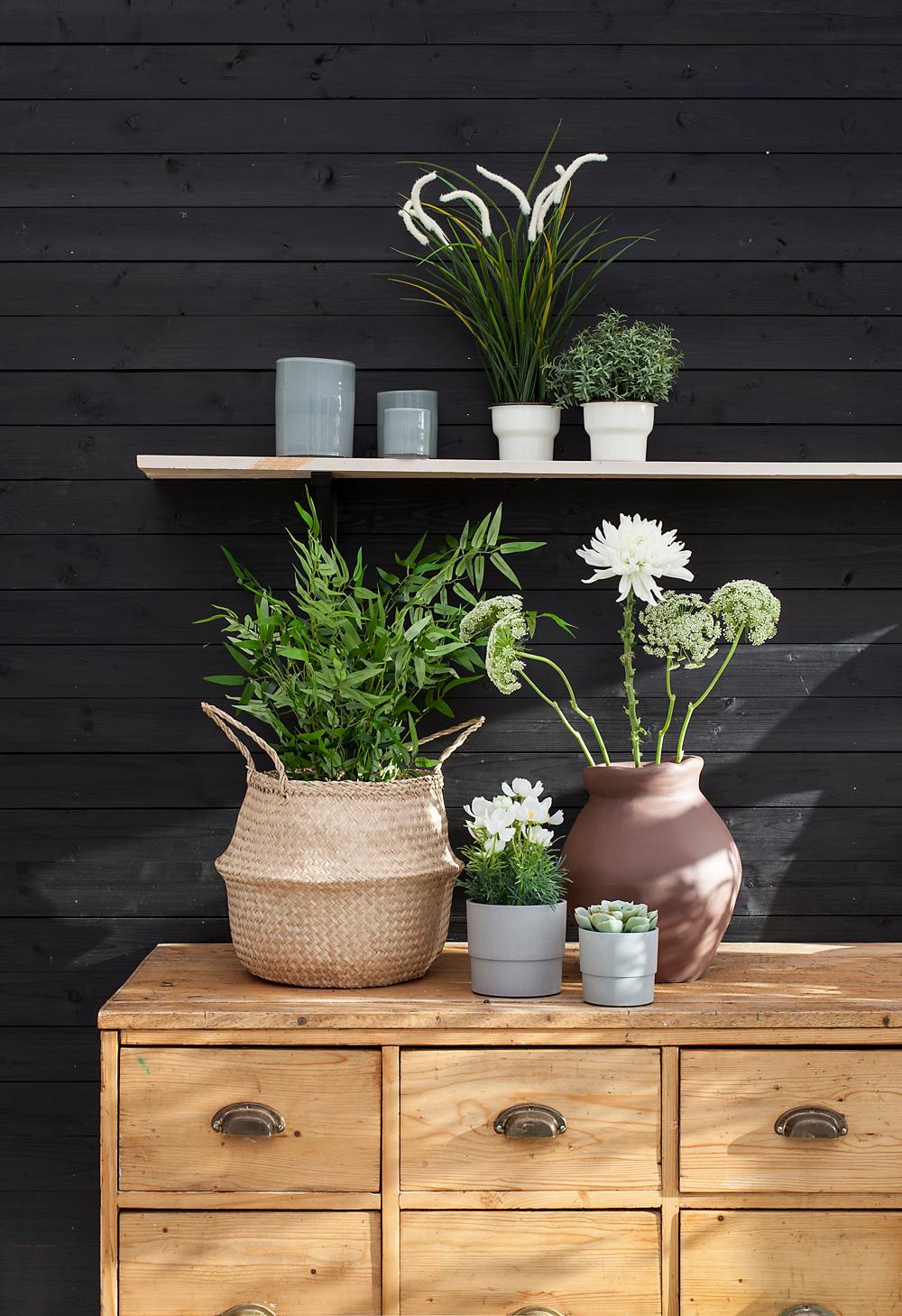 blomster på antik kommode. 