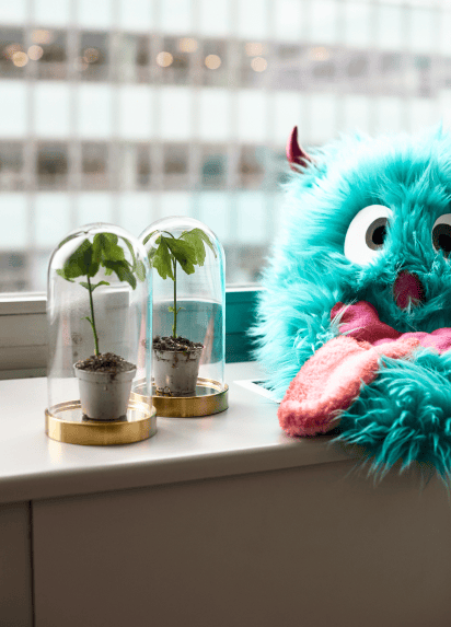 Blue monster head mask next to two terrariums in front of an office window
