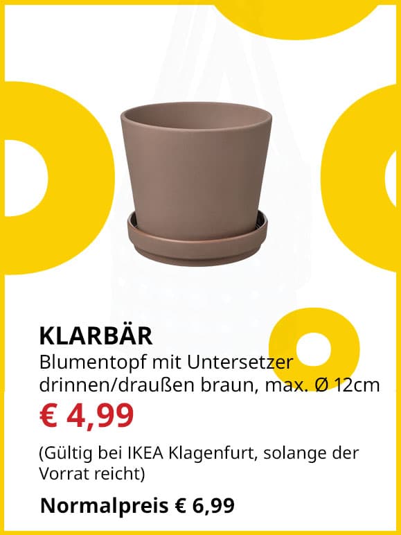 Bluemtopf mit Untersetzer Klarbär, innen/außen, braun, Topfdurchmesser max. 12cm, statt € 6,99 um € 4,99.