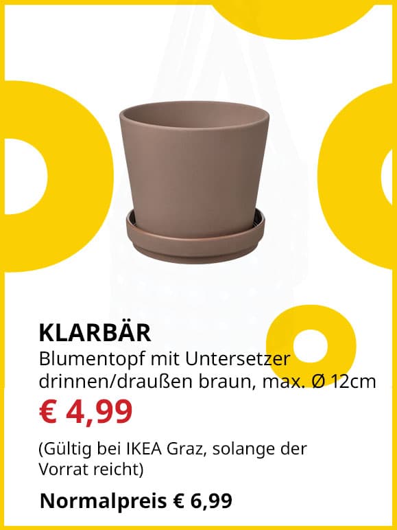 Bluemtopf mit Untersetzer Klarbär, innen/außen, braun, Topfdurchmesser max. 12cm, statt € 6,99 um € 4,99.