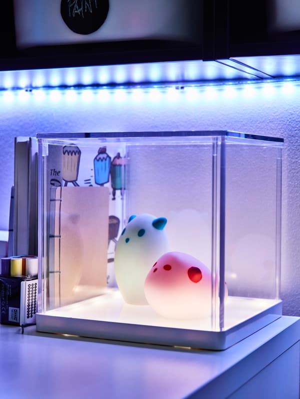 Boîte lumineuse à LED transparente avec deux créatures lumineuses à l’intérieur