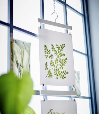 Botanical-themed IKEA TVILLING posters are hung in front of the window.