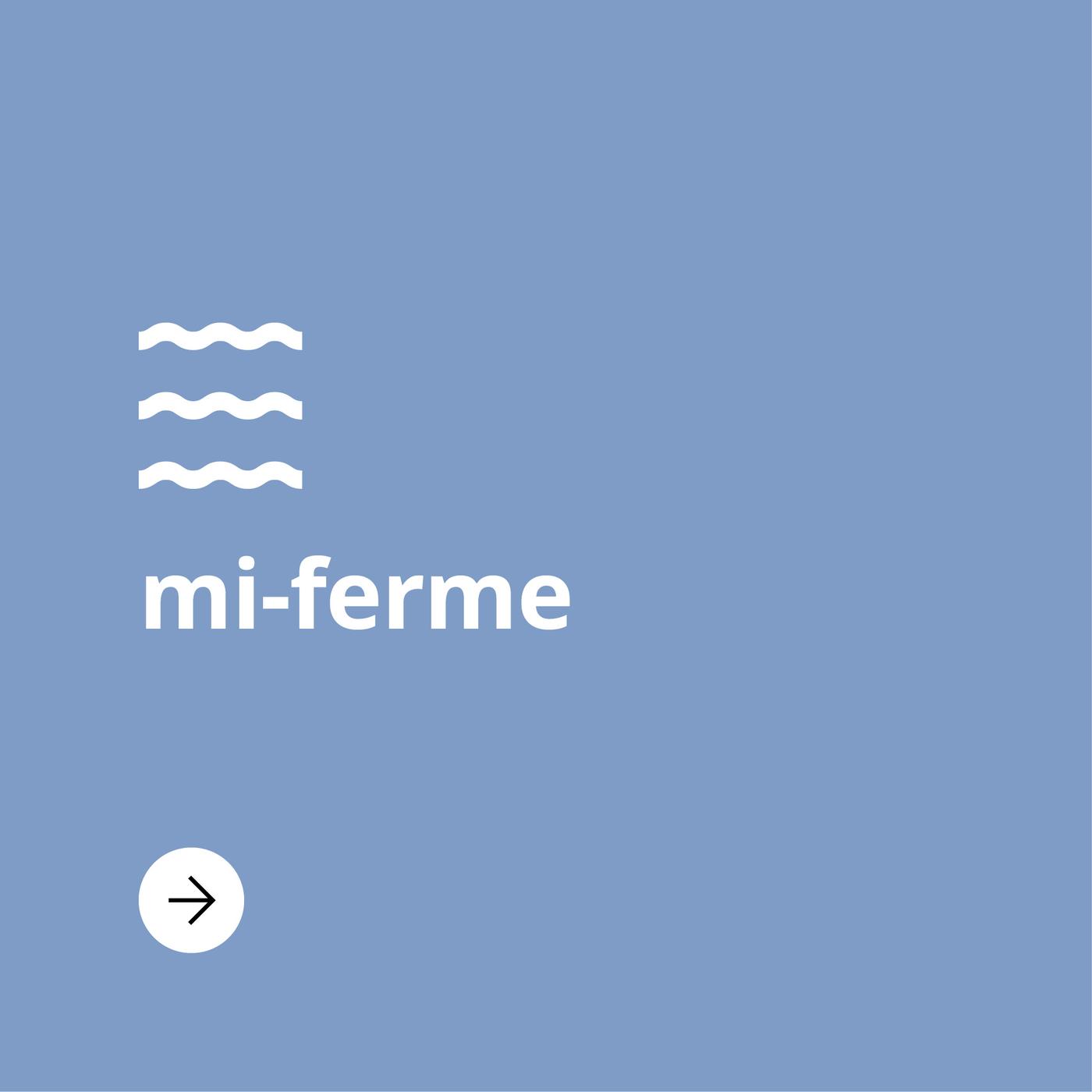 Bouton pour matelas mi-ferme