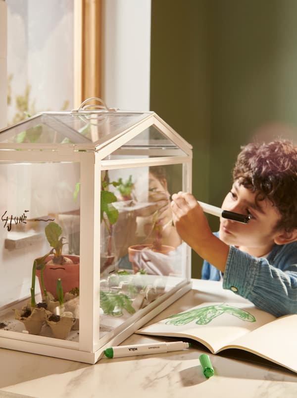 Boy marking the height of plants on the side pane of a SOCKER greenhouse.
