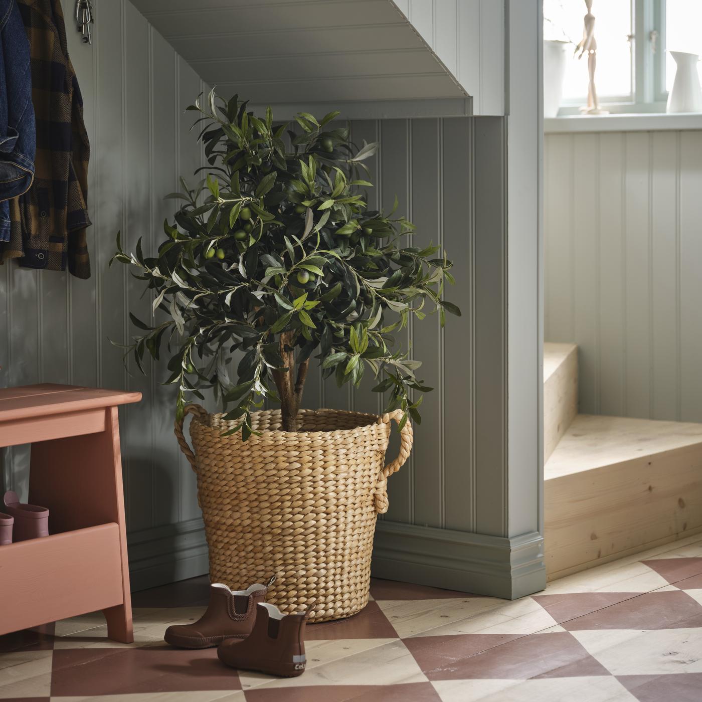 Braided natural colored flower pot with a plant in it. It is sitting in the corner of a foyer next to a bench.