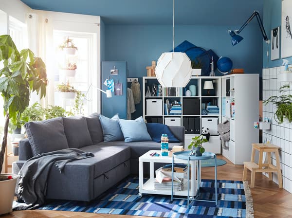 Bright blue living room with a grey sofa backing onto a window with plants