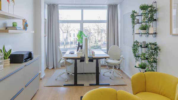 Bright office with desk, plants and large window view