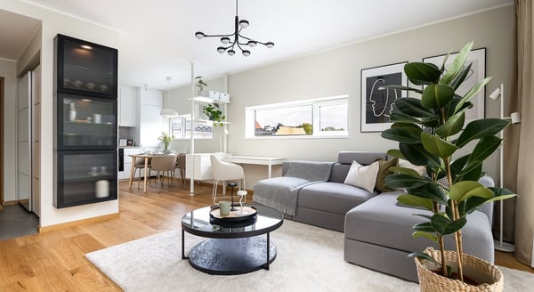 Bright open-plan living and dining area with modern furniture and plants.