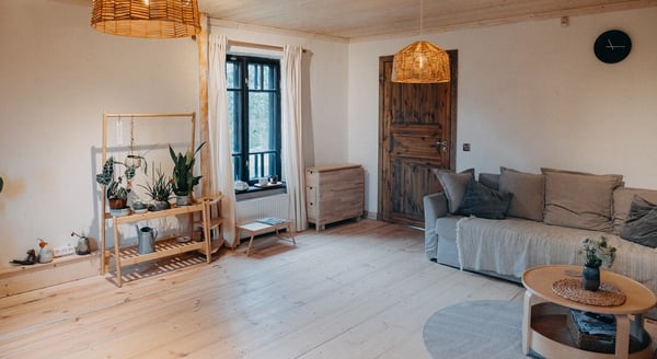 Bright Scandinavian-style living room with plants, wooden furniture, and rustic door decor.