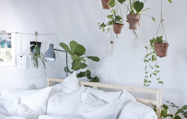 Bring some green to your bedroom by hanging plants around the bed.
