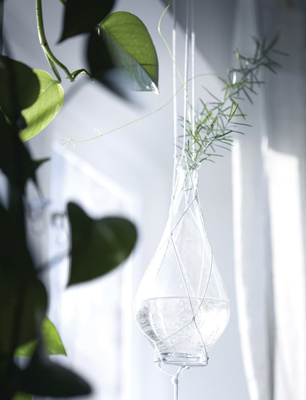  Bring some green to your bedroom by hanging plants in glass vases around the bed.