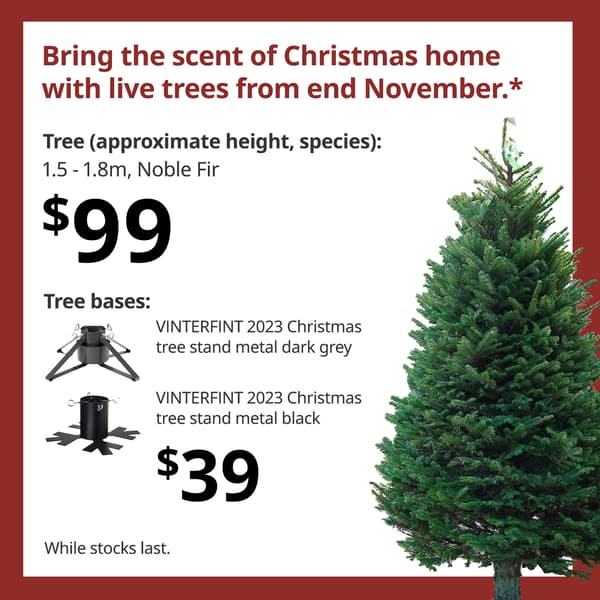 Bring the fresh scent of Christmas home with live trees from end November.*