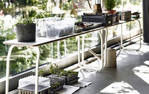 Bring the outdoors in by filling your home with plants