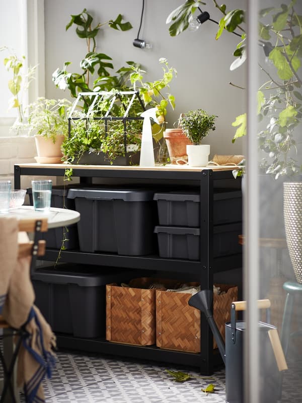 BROR shelving unit with plants and boxes.