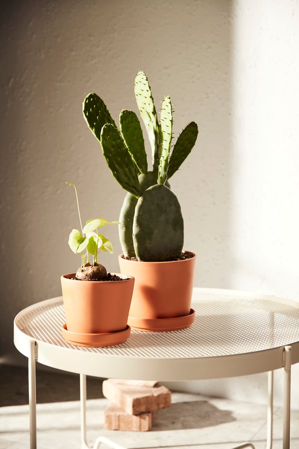 BRUNBAR kruka med far