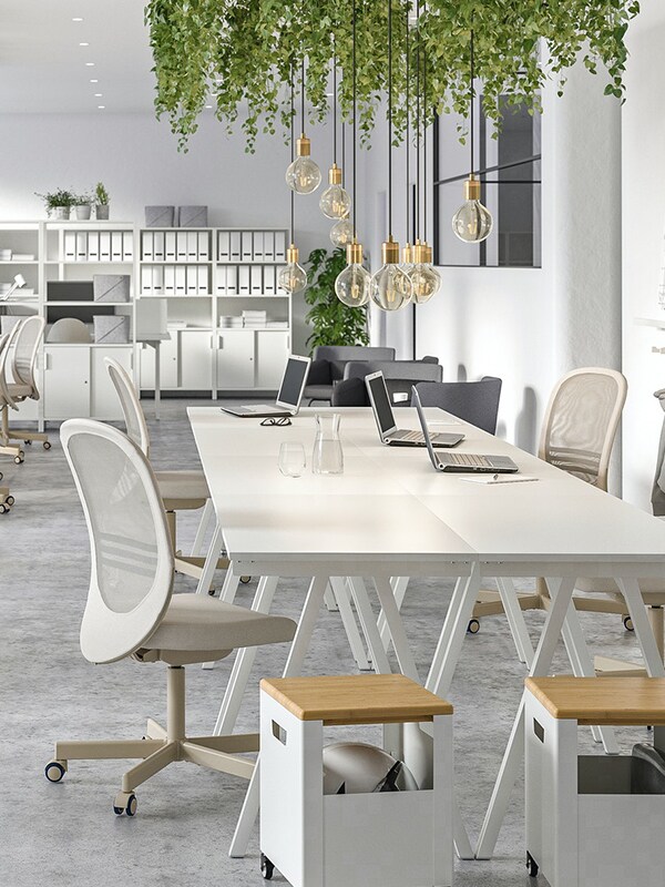 Büro mit weissen Tischen, Schränken und Bürostühlen sowie grünen Pflanzen an der Decke.