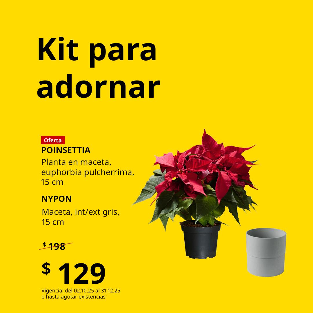 Bundle offer nochebuena